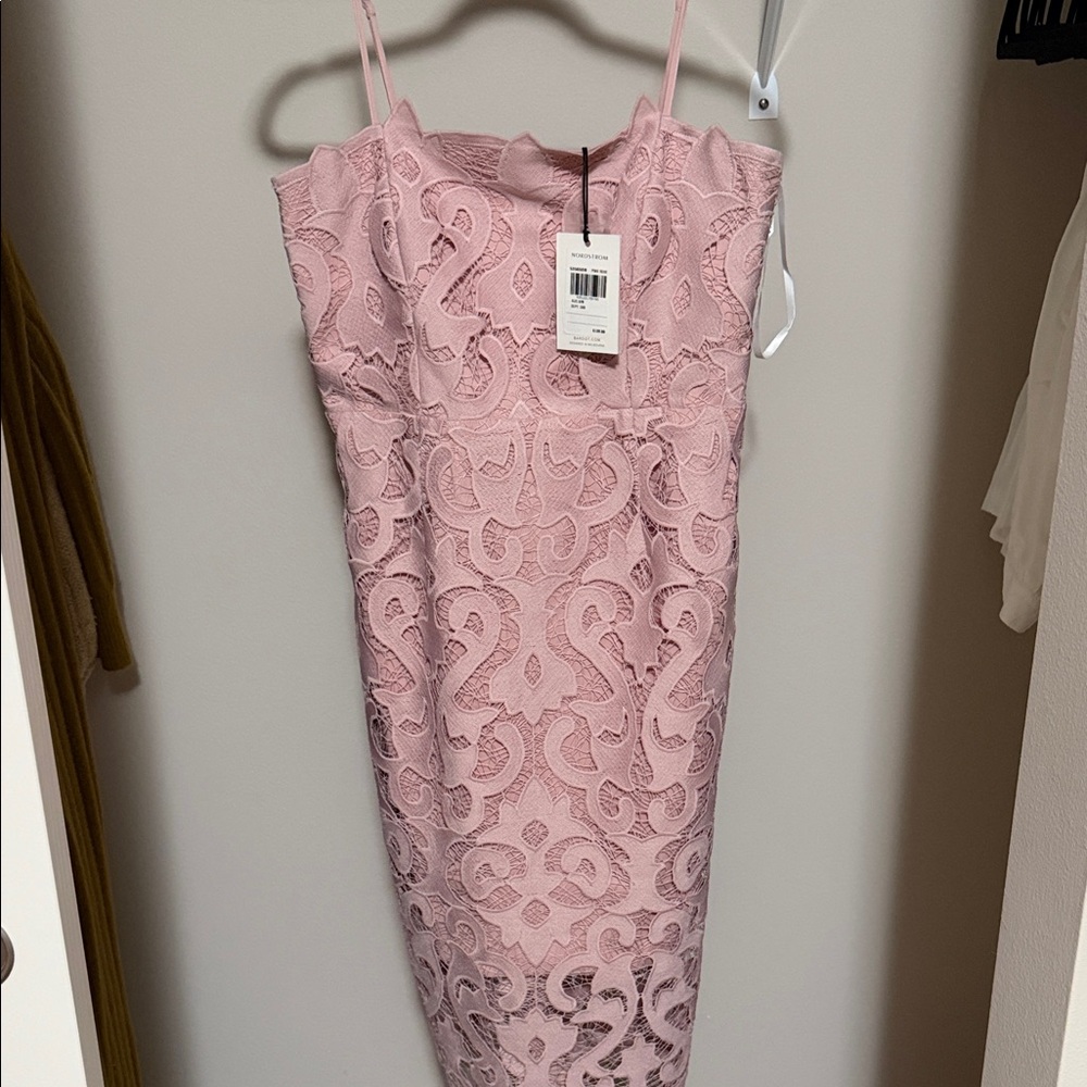 Bardot Blush Lace Midi Dress